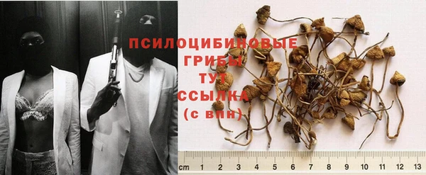 соль ск Балахна